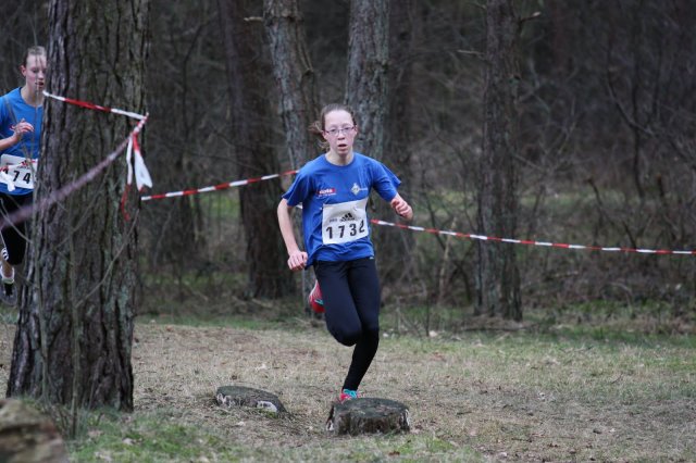 120310_CrossBoesel_080